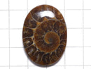 [Video][One of a kind] Ammonite Loose stone 1pc NO.159