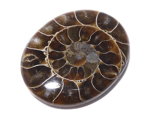 [Video][One of a kind] Ammonite Loose stone 1pc NO.160