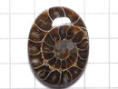 [Video][One of a kind] Ammonite Loose stone 1pc NO.160