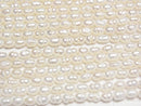 [Video] Fresh Water Pearl AA Wrinkle Rice 4x3x3mm White 1strand beads (aprx.13inch/33cm)
