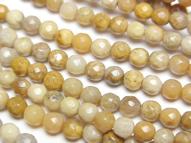 [Video]Fossil Coral Faceted Round 4mm 1strand beads (aprx.15inch/38cm)