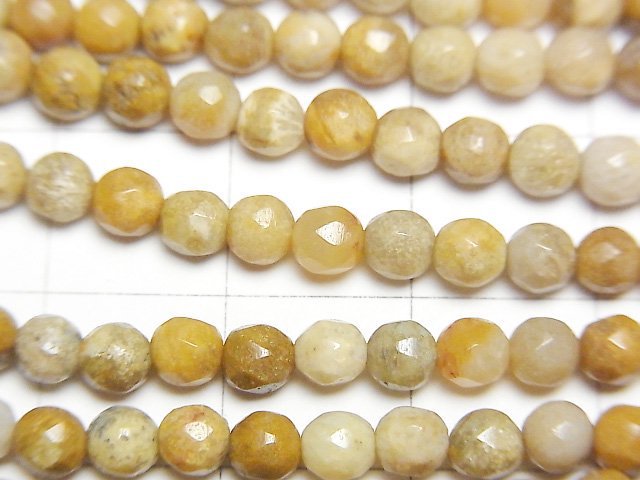 [Video]Fossil Coral Faceted Round 4mm 1strand beads (aprx.15inch/38cm)