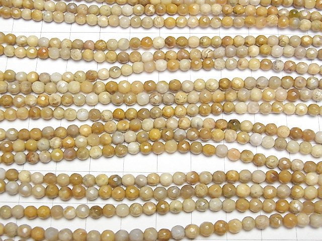 [Video]Fossil Coral Faceted Round 4mm 1strand beads (aprx.15inch/38cm)