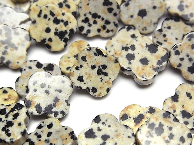 [Video] Dalmatian Jasper flower motif 14x14mm 1strand beads (aprx.15inch/37cm)