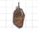 [Video][One of a kind] Copper Rutilated Quartz AAA Pendant Silver925 NO.12