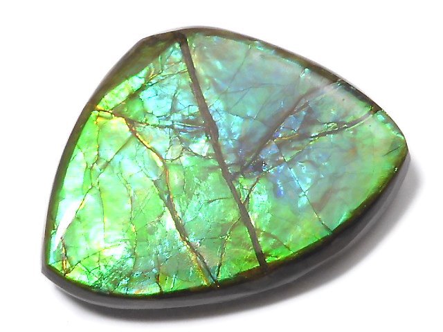 [Video][One of a kind] High Quality Ammolite AAA Plate 1pc NO.3