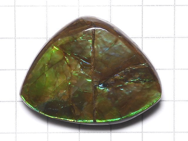 [Video][One of a kind] High Quality Ammolite AAA Plate 1pc NO.3