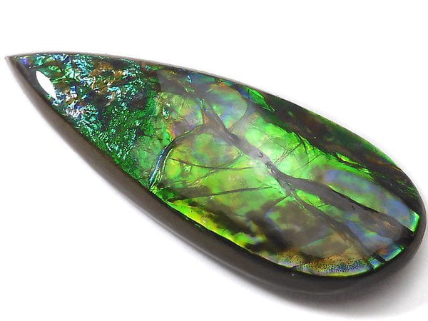 [Video][One of a kind] High Quality Ammolite AAA Plate 1pc NO.4