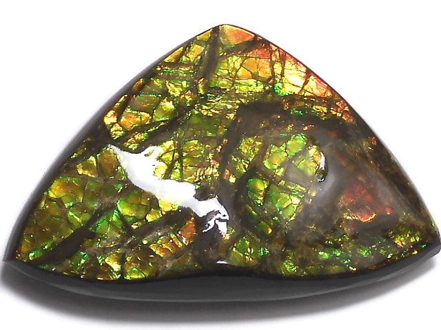 [Video][One of a kind] High Quality Ammolite AAA Plate 1pc NO.8