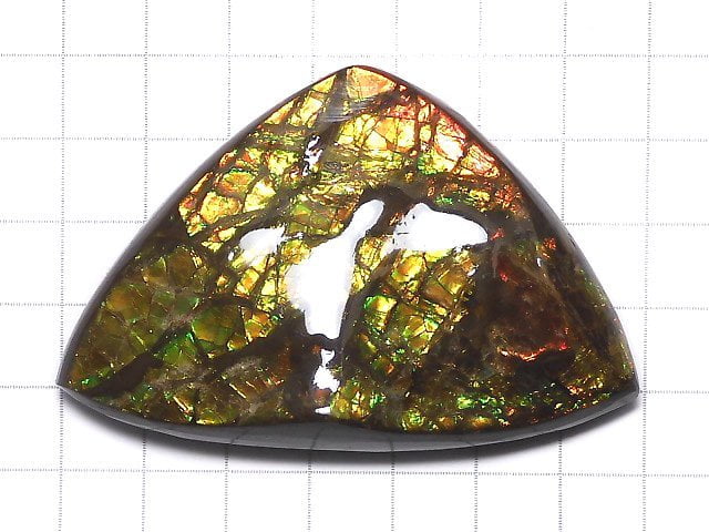 [Video][One of a kind] High Quality Ammolite AAA Plate 1pc NO.8