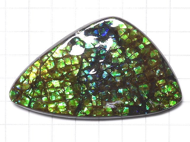 [Video][One of a kind] High Quality Ammolite AAA Plate 1pc NO.9