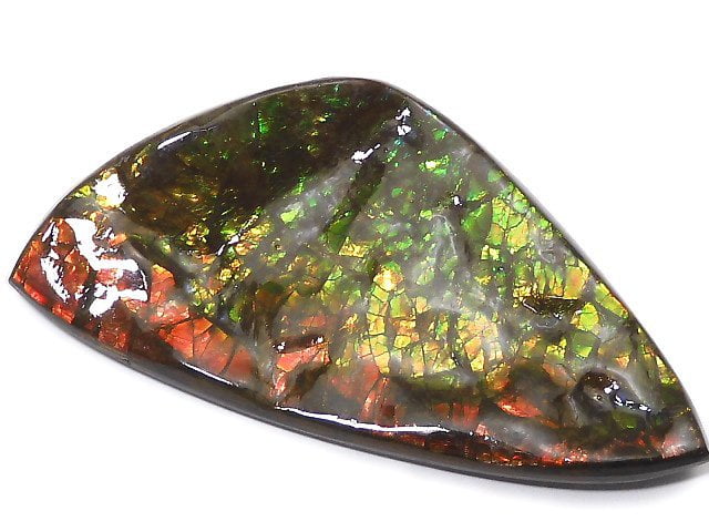 [Video][One of a kind] High Quality Ammolite AAA Plate 1pc NO.10