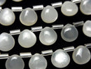 [Video]High Quality White Moonstone AAA- Chestnut (Smooth) 8x8mm half or 1strand (18pcs)