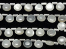[Video]High Quality White Moonstone AAA- Chestnut (Smooth) 8x8mm half or 1strand (18pcs)