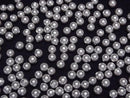 [Video]Shell Pearl Silver Half Drilled Hole Round 6mm 20pcs