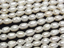 [Video] Fresh Water Pearl AA Rice 6x4x4mm White 1strand beads (aprx.14inch/34cm)