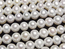 [Video] Fresh Water Pearl AA++ Semi Round-Potato 4.5-5mm White 1strand beads (aprx.15inch/37cm)