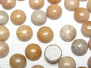 [Video]Fossil Coral Round Cabochon 8x8mm 5pcs