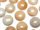 [Video]Fossil Coral Round Cabochon 12x12mm 4pcs