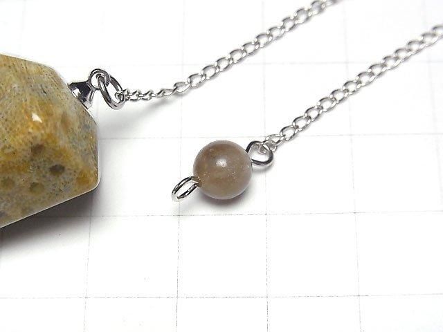 [Video]Fossil Coral Pendulum 36x20x20mm with chain 1pc