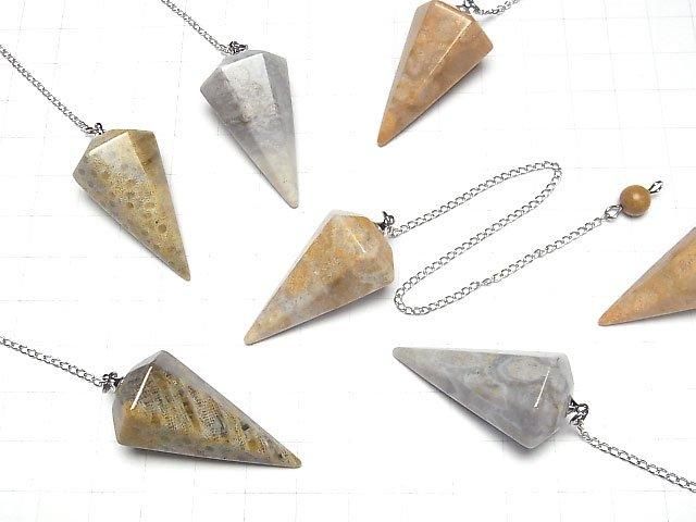 [Video]Fossil Coral Pendulum 36x20x20mm with chain 1pc