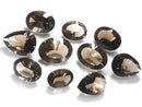 [Video][One of a kind] High Quality Smoky Quartz AAA Loose stone Concave Cut 10pcs Set NO.4