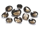 [Video][One of a kind] High Quality Smoky Quartz AAA Loose stone Concave Cut 10pcs Set NO.5