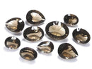 [Video][One of a kind] High Quality Smoky Quartz AAA Loose stone Concave Cut 10pcs Set NO.8