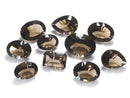 [Video][One of a kind] High Quality Smoky Quartz AAA Loose stone Concave Cut 10pcs Set NO.12