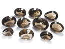 [Video][One of a kind] High Quality Smoky Quartz AAA Loose stone Concave Cut 10pcs Set NO.13