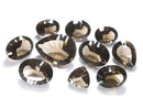 [Video][One of a kind] High Quality Smoky Quartz AAA Loose stone Concave Cut 10pcs Set NO.14