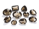 [Video][One of a kind] High Quality Smoky Quartz AAA Loose stone Concave Cut 10pcs Set NO.16