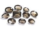 [Video][One of a kind] High Quality Smoky Quartz AAA Loose stone Concave Cut 10pcs Set NO.17