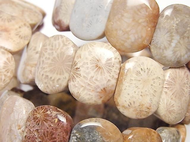 [Video]Fossil Coral 2-Hole Oval 20x15mm 1strand (Bangle Bracelet)