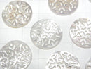 [Video] High Quality White Shell (Silver-lip Oyster) AAA Watermark Coin 20x20mm 1pc