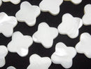[Video]Mother of Pearl MOP White Flower Motif 16x16mm 1strand beads (aprx.15inch/36cm)