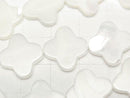 [Video]Mother of Pearl MOP White Flower Motif 16x16mm 1strand beads (aprx.15inch/36cm)