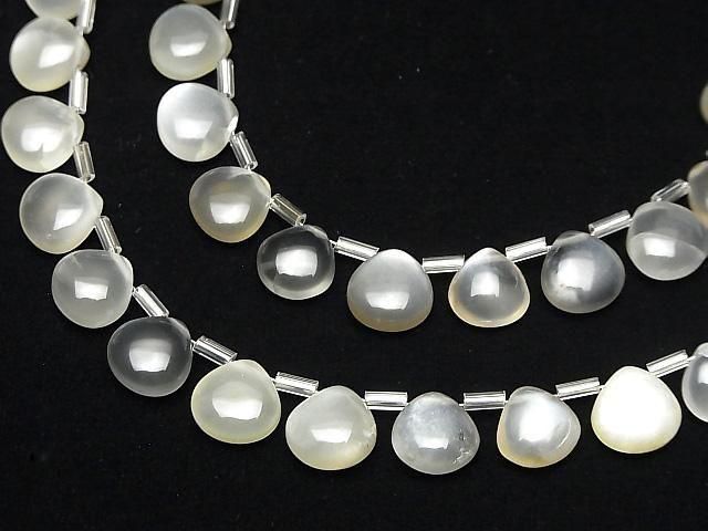 [Video]High Quality White-Gray Moonstone AA++ Chestnut (Smooth) 10x10mm 1strand (18pcs)