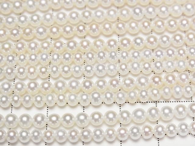 [Video] Fresh Water Pearl AAA Semi Round - Potato 4mm White 1-strand beads (approx. 15inch/37cm)