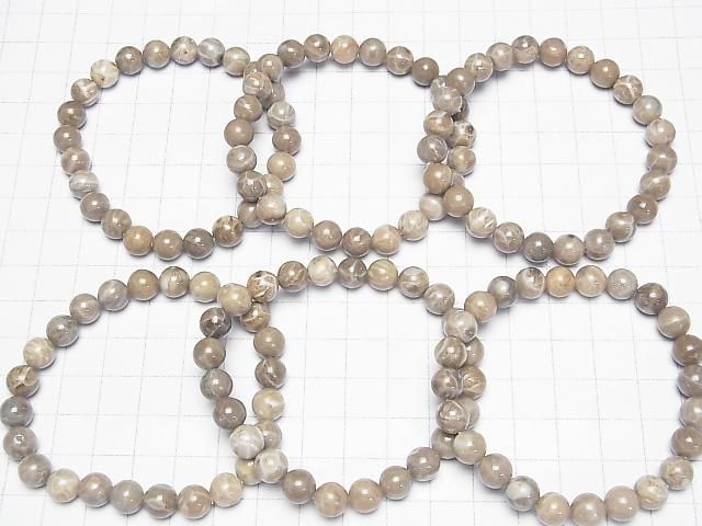 [Video]Fossil Coral Round 8mm Bracelet
