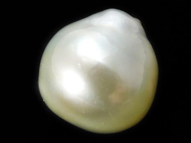 [Video][One of a kind] South Sea pearl Loose stone 1pc NO.111