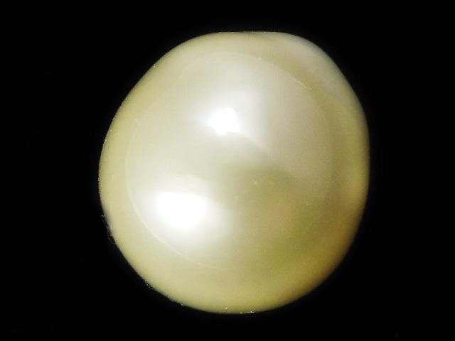 [Video][One of a kind] South Sea pearl Loose stone 1pc NO.113