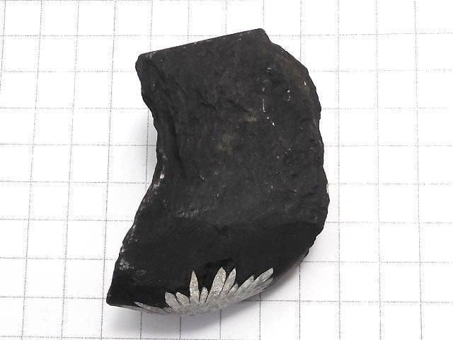 [Video][One of a kind] Chrysanthemum Stone Raw Stone 1pc NO.21