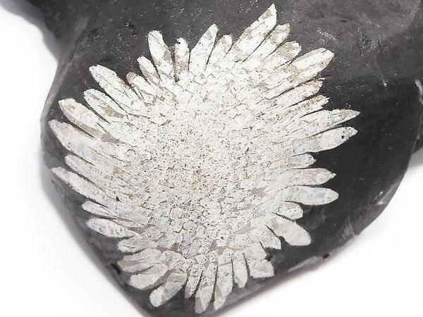 [Video][One of a kind] Chrysanthemum Stone Raw Stone 1pc NO.22