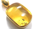 [Video][One of a kind] Insect Baltic Amber Pendant 18KGP NO.5