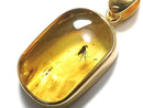 [Video][One of a kind] Insect Baltic Amber Pendant 18KGP NO.7