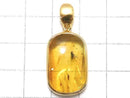 [Video][One of a kind] Insect Baltic Amber Pendant 18KGP NO.7