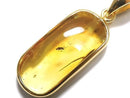 [Video][One of a kind] Insect Baltic Amber Pendant 18KGP NO.8