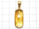 [Video][One of a kind] Insect Baltic Amber Pendant 18KGP NO.8