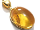 [Video][One of a kind] Insect Baltic Amber Pendant 18KGP NO.9